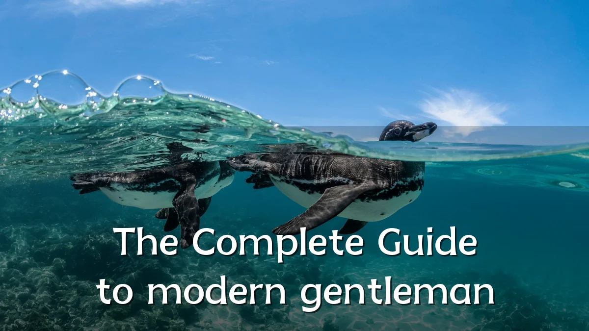 The Complete Guide to modern gentleman