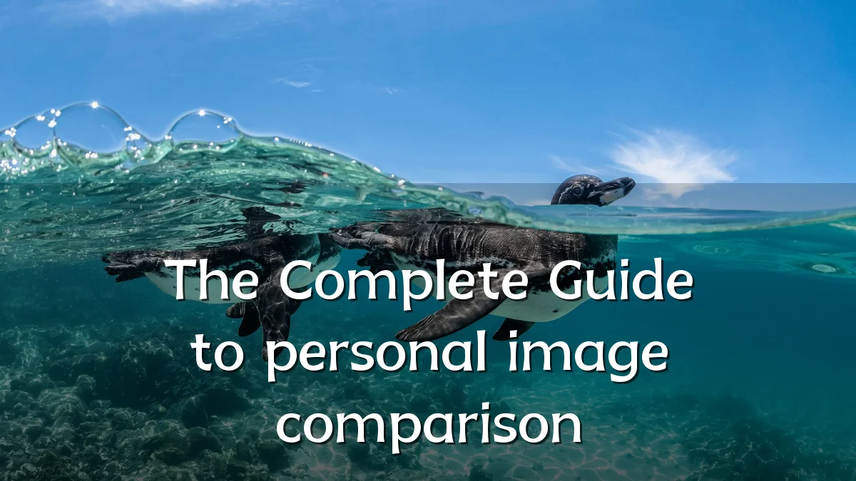 The Complete Guide to personal image comparison