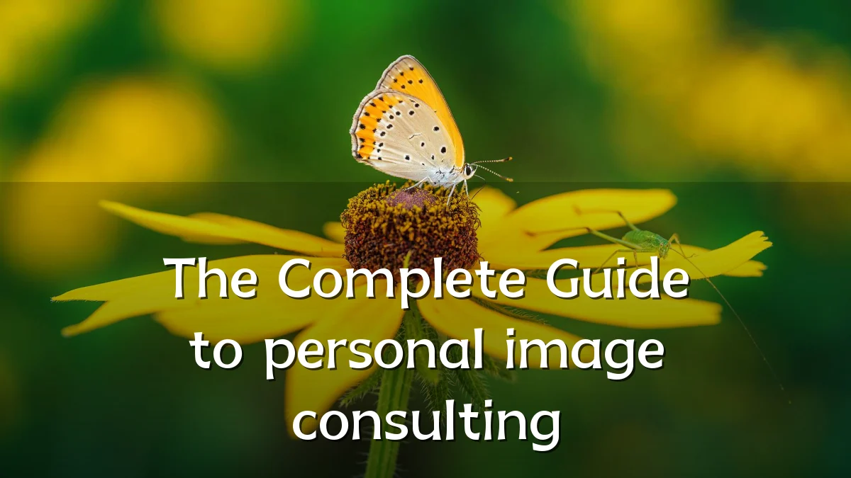 The Complete Guide to personal image consulting