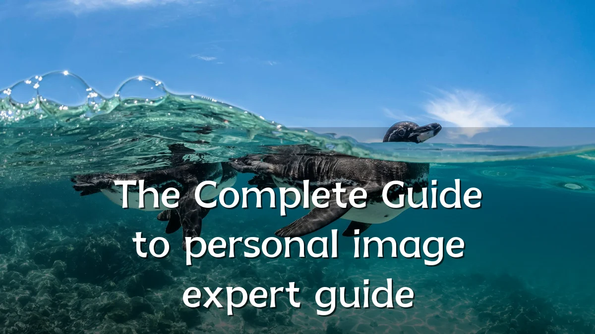 The Complete Guide to personal image expert guide