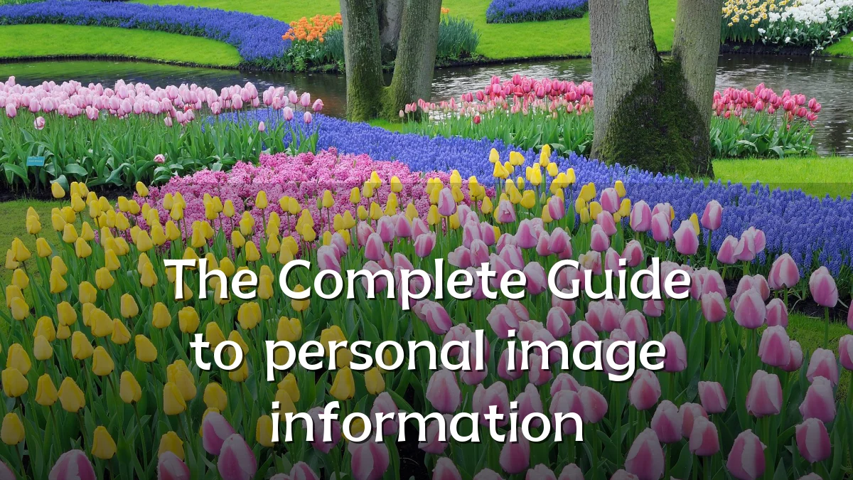The Complete Guide to personal image information