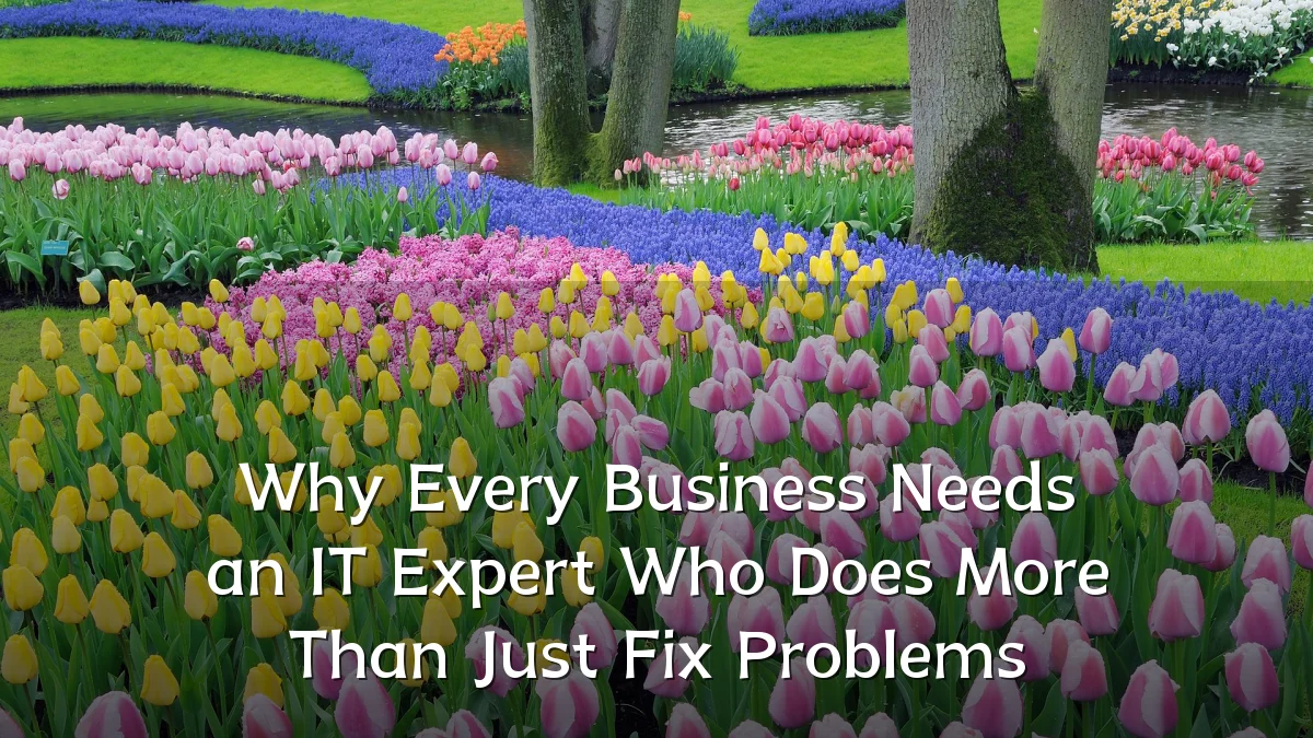 Why Every Business Needs an IT Expert Who Does More Than Just Fix Problems